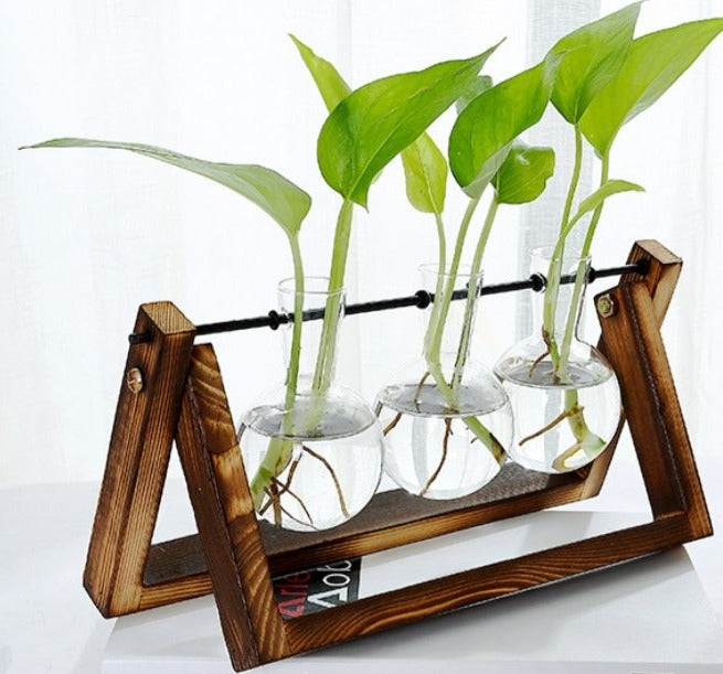 Glass Tabletop Plant - RAZANSY