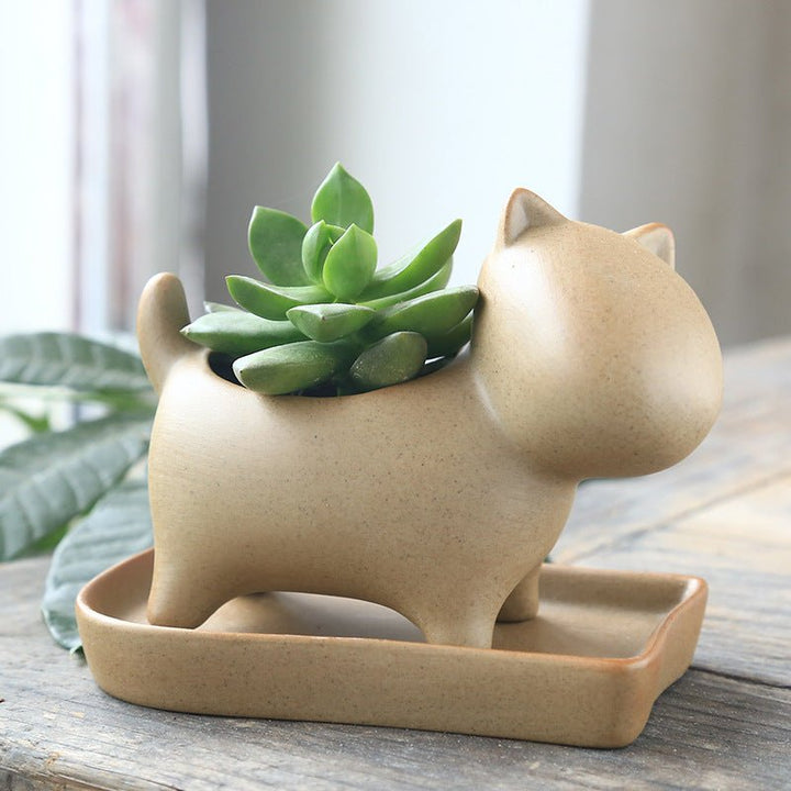 Stoneware potted plant - RAZANSY