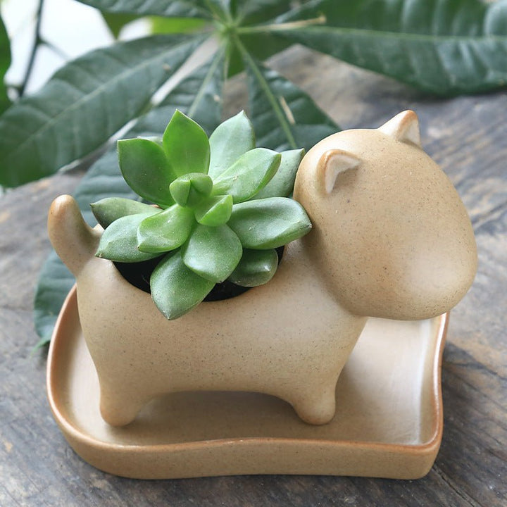 Stoneware potted plant - RAZANSY